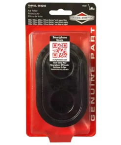 Briggs & Stratton Air Filter for 550EX Engine